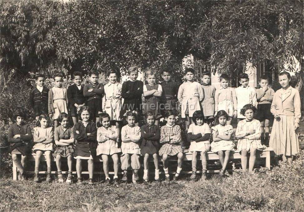 Ann�e 1953-1954